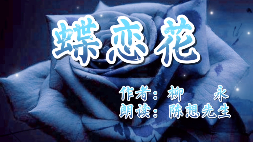 陈想先生——《蝶恋花》