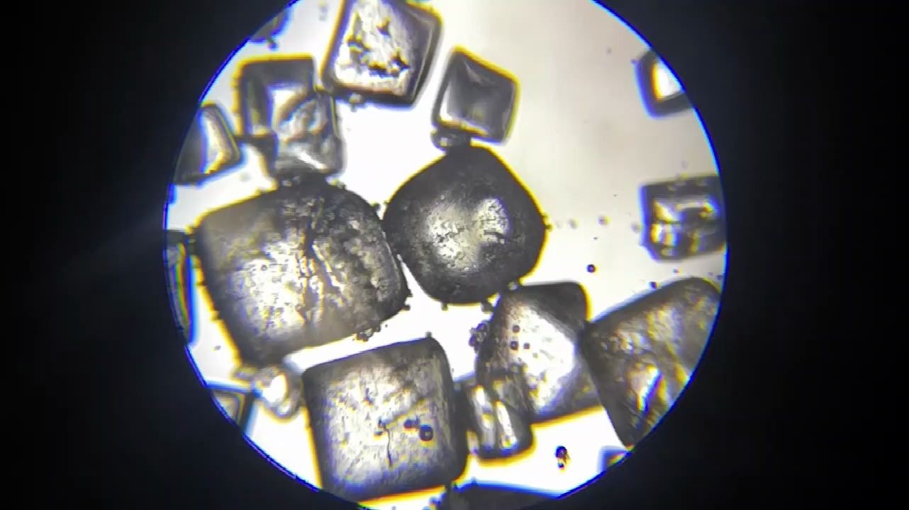 显微镜下食盐溶解,一颗一颗像钻石