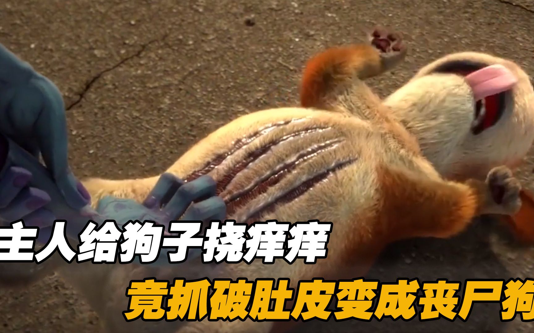 丧尸养了只中华田园犬,本想给它挠痒痒,不料抓破肚皮变成丧尸狗