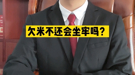 欠钱不还会判刑坐牢吗?哔哩哔哩bilibili