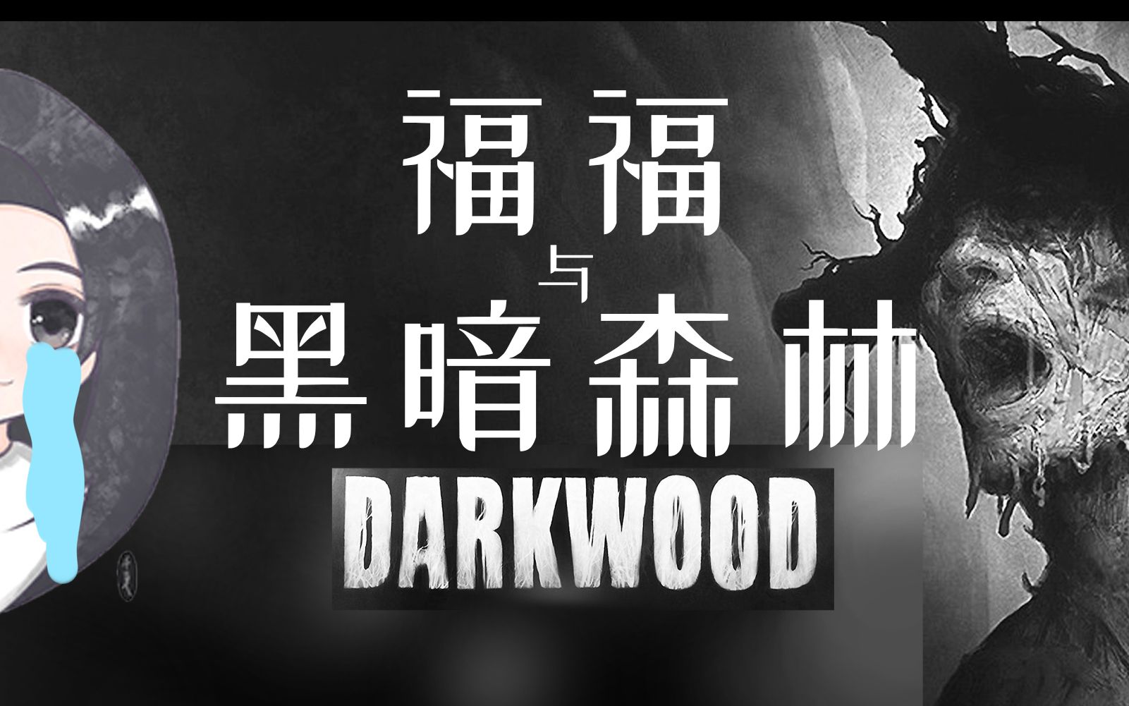 [图]【黑暗森林DarkWood】快来看超怂主播的黑暗森林游戏实况吧！！多p