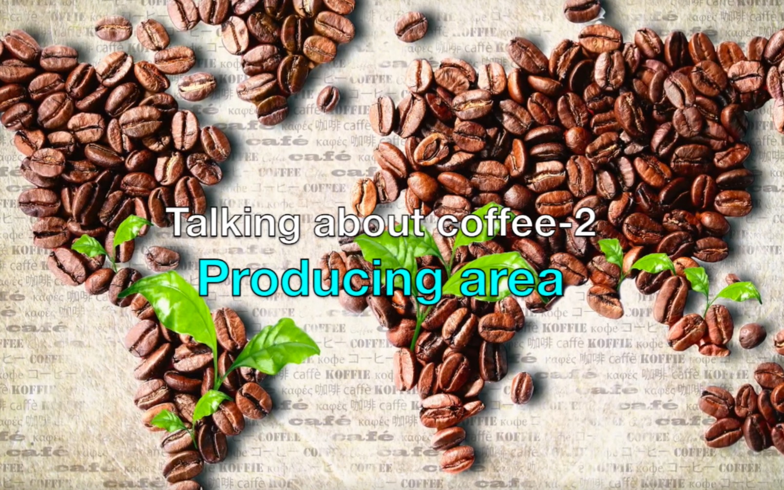 [图]Talking about coffee-2 Producing area