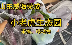 Télécharger la video: 山东威海荣成，小老虎生态园，采摘，小动物园喂动物，免费停车，游乐设施，带孩子好去处