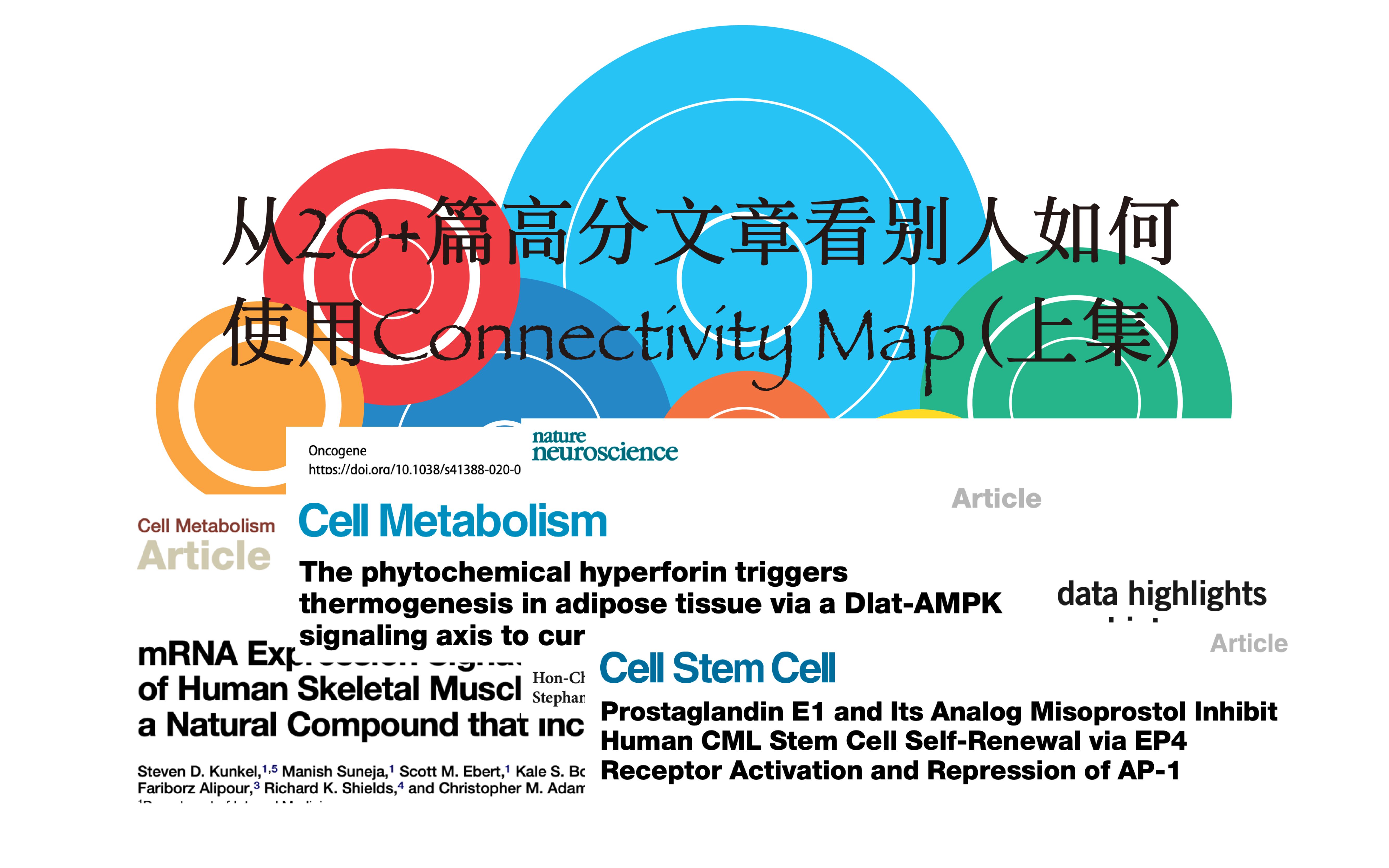 【CMap】 第二弹 从20+高分文章中看别人如何使用CMap工具+初步数据处理及可视化哔哩哔哩bilibili