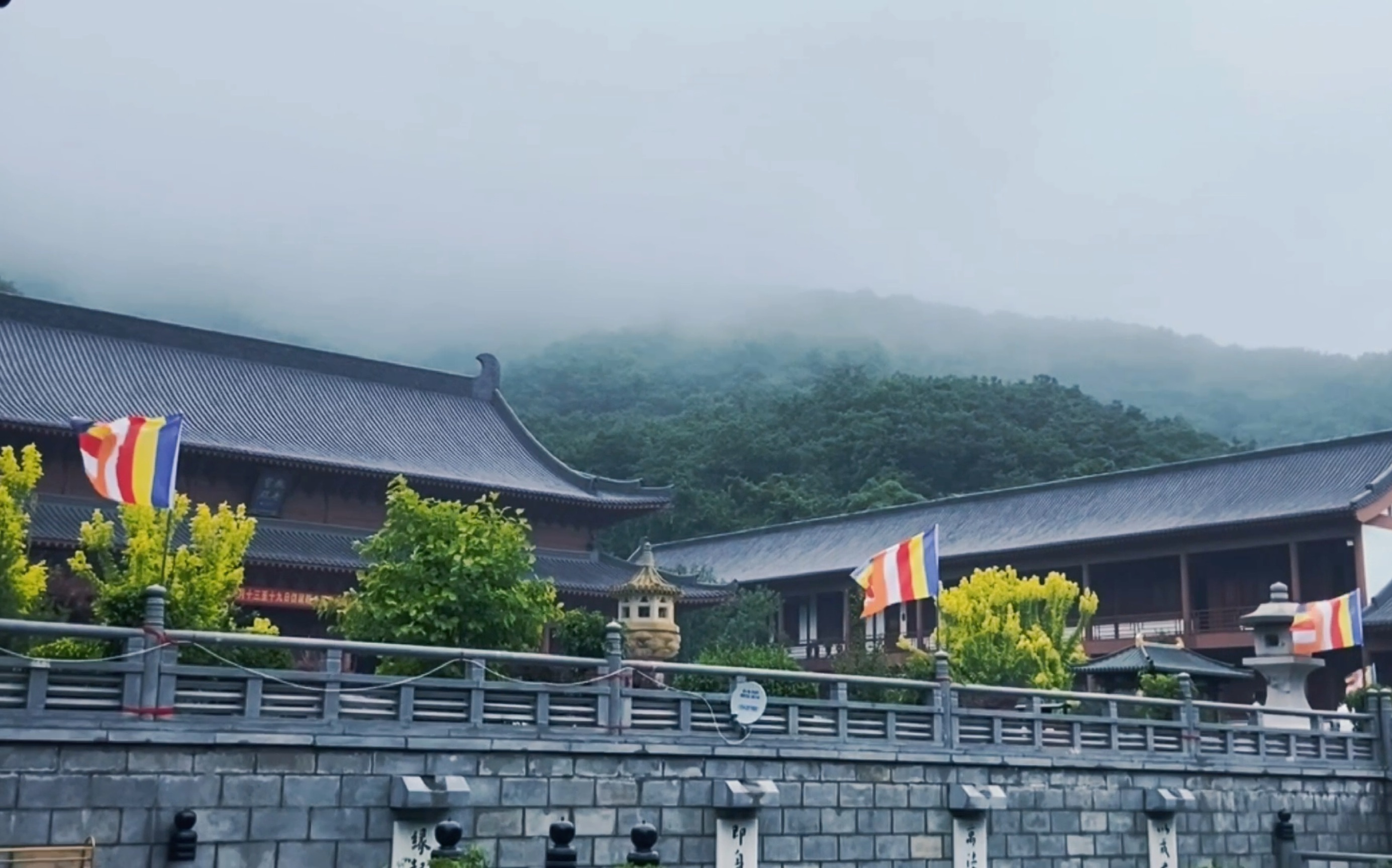 活动  大连横山寺礼佛
