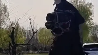 皮装美女严厉驯马