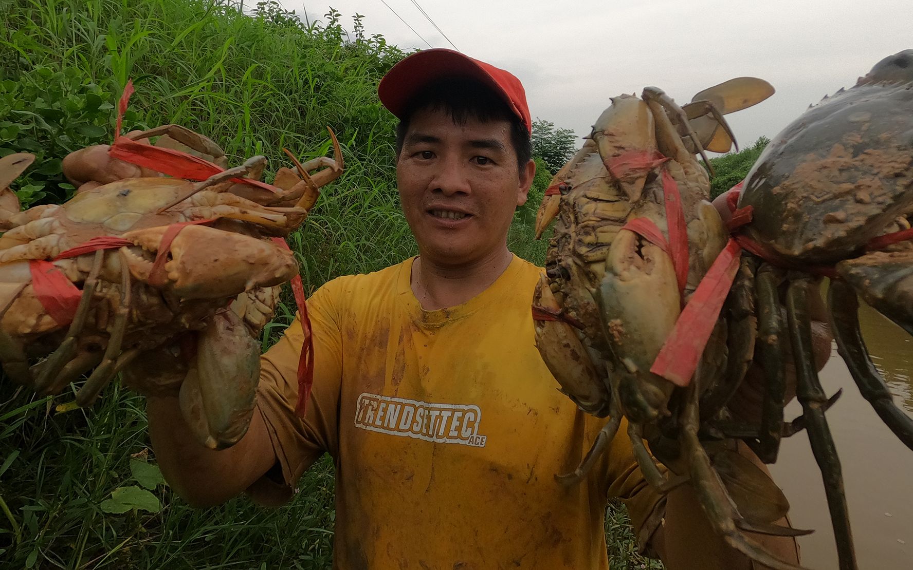 海沟里的大螃蟹没人抓,母蟹孵卵几万只,刀仔放生后又抓几只大货哔哩哔哩bilibili