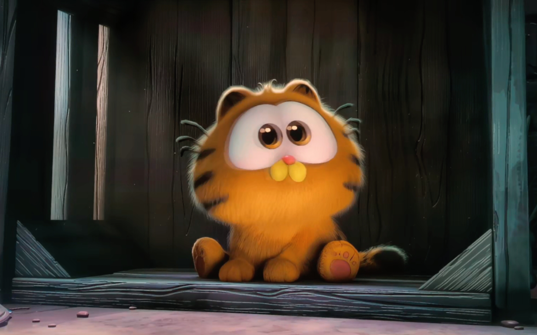 可爱的加菲猫来啦75