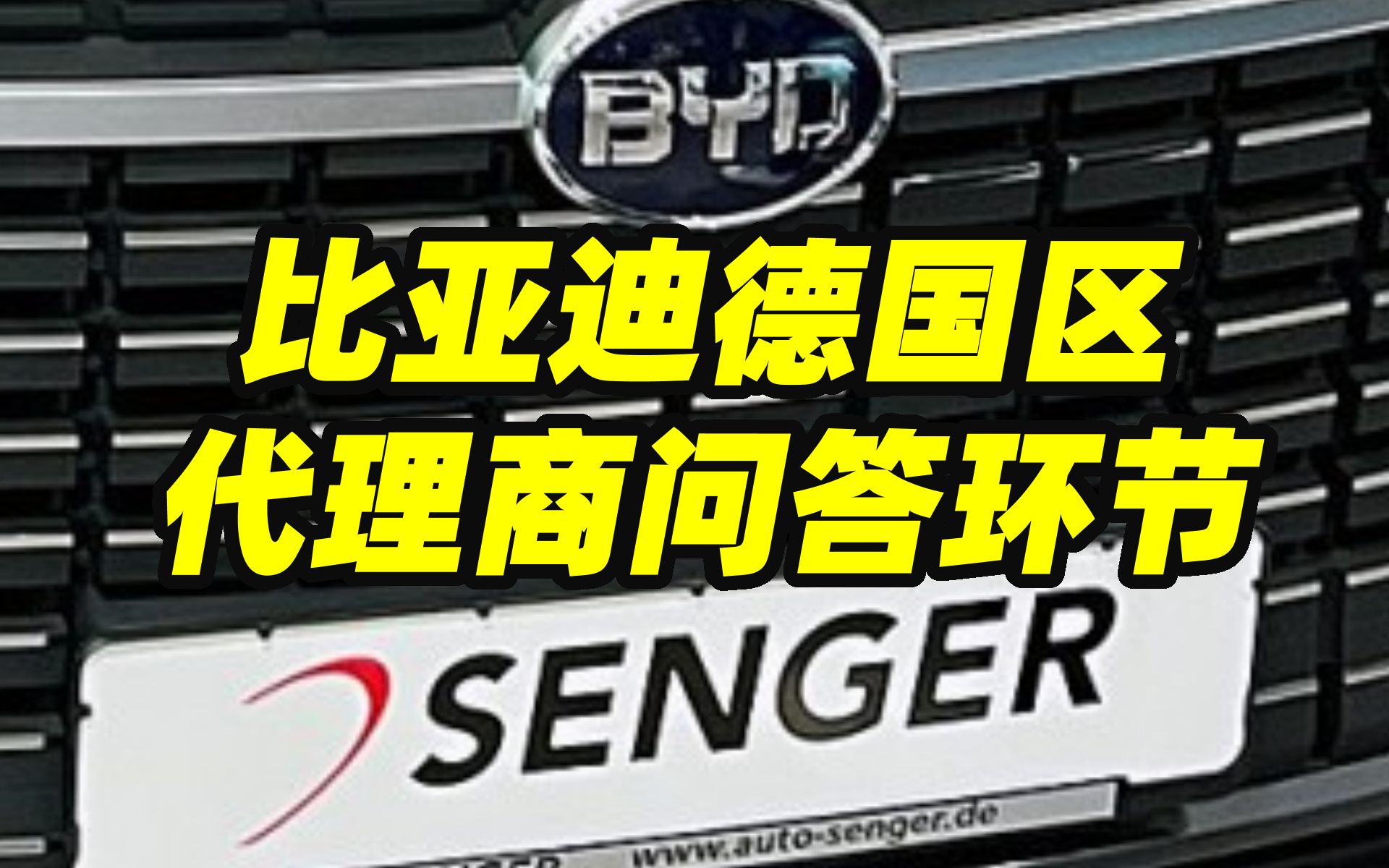 比亚迪德国区代理商专访:比亚迪有何优势,仰望是否登陆欧洲,以后还有什么新车型?哔哩哔哩bilibili