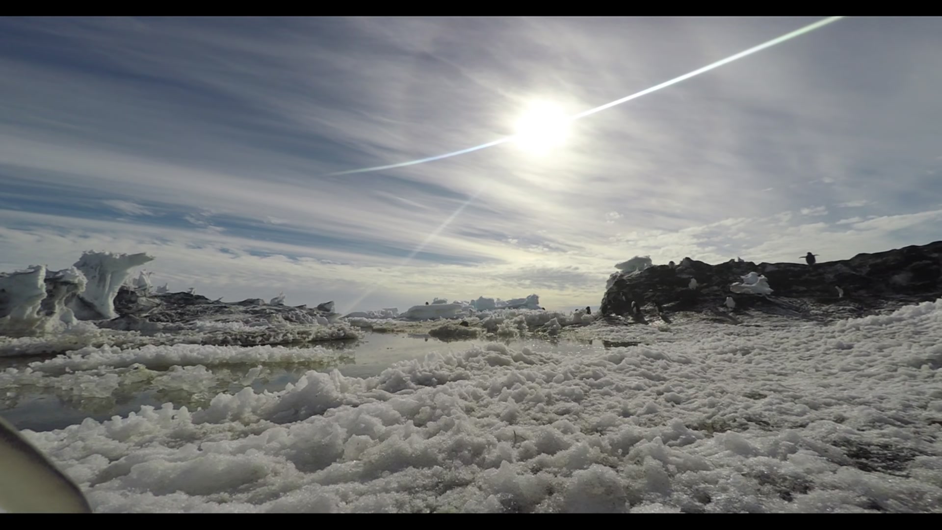 【影视回顾】南极洲:冰上的一年 Antarctica A Year on Ice (2013) Extras【英语】哔哩哔哩bilibili