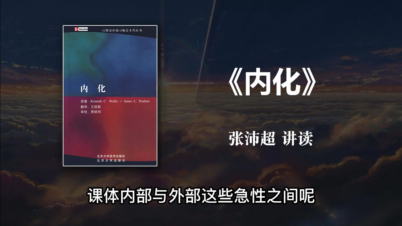 【有声书】《内化》张沛超讲读哔哩哔哩bilibili