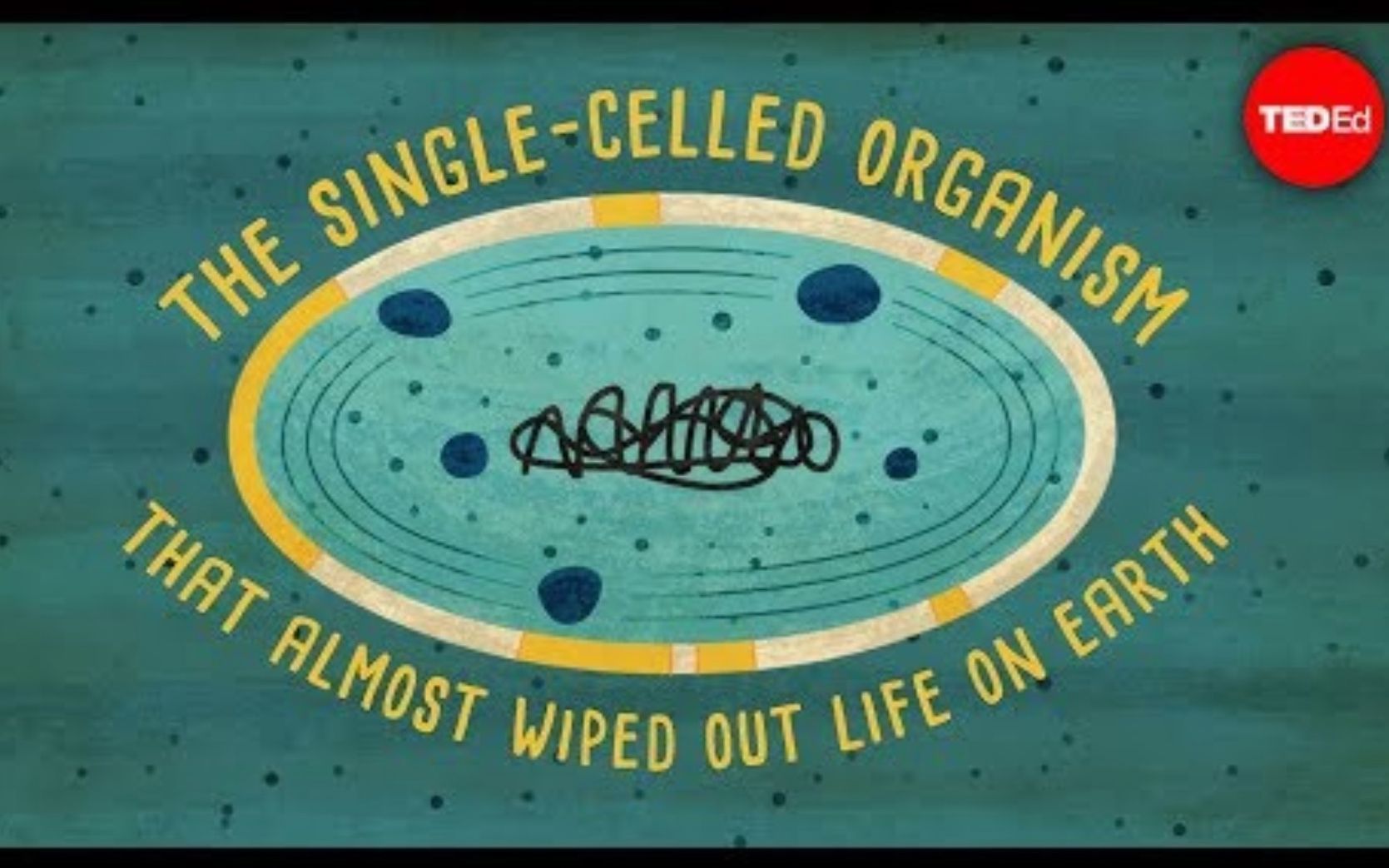 [图]【Ted-ED】单细胞生物如何差点摧毁地球上的生命 How A Single-celled Organism Almost Wiped Out Life