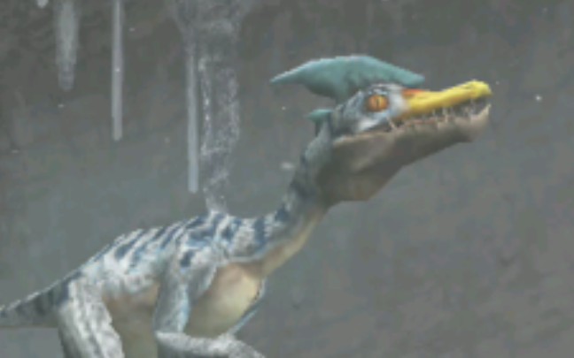 打个白速龙感觉有点刮痧啊