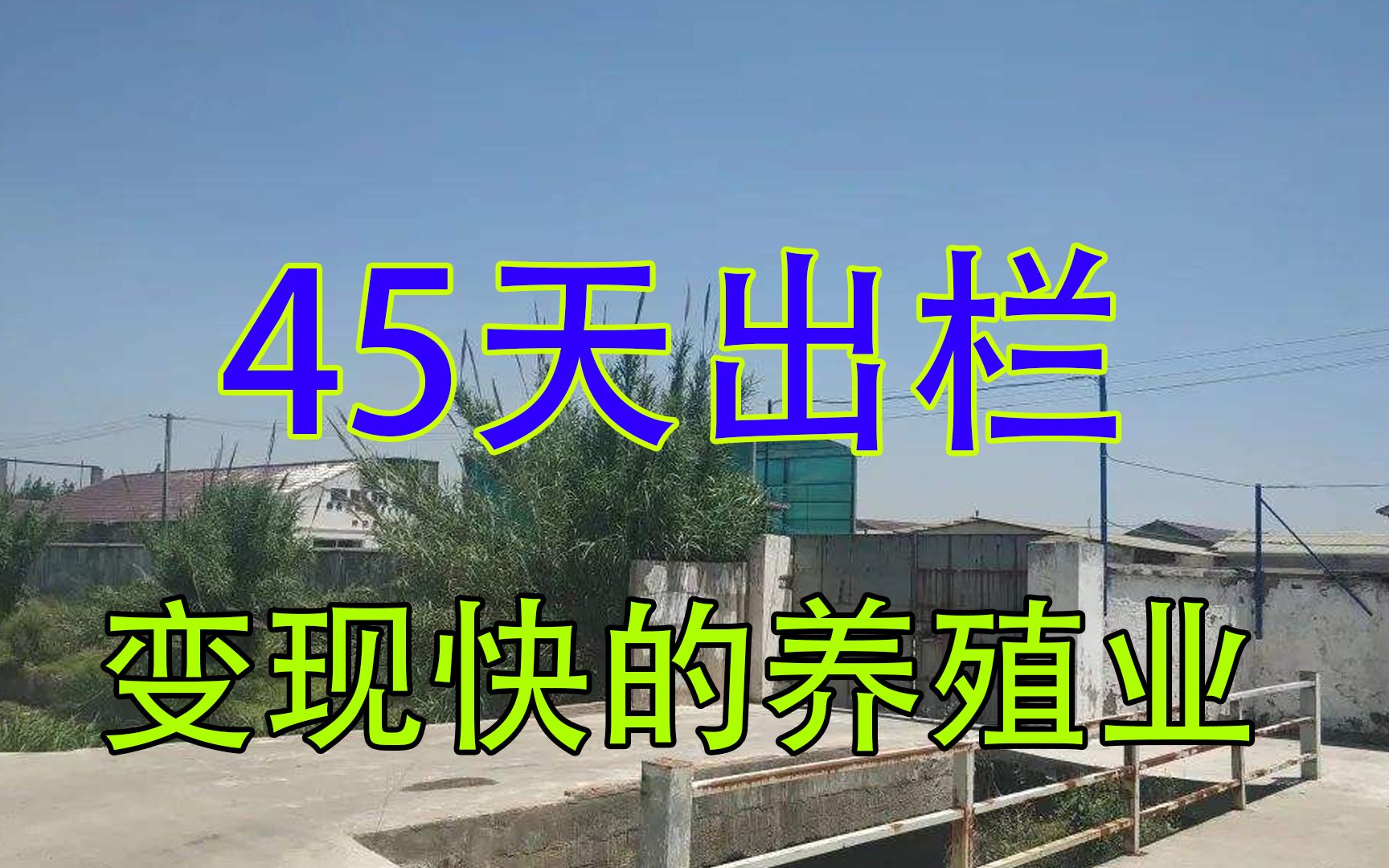 又一来钱快的养殖业,35平米45天收入13.4万元,易养殖利润高哔哩哔哩bilibili