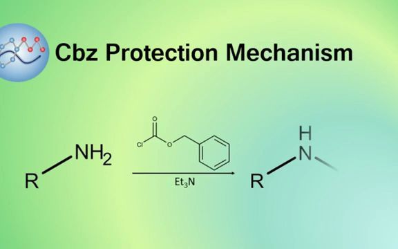 有机化学之Cbz保护基Adding Cbz Protecting Group Mechanism哔哩哔哩bilibili