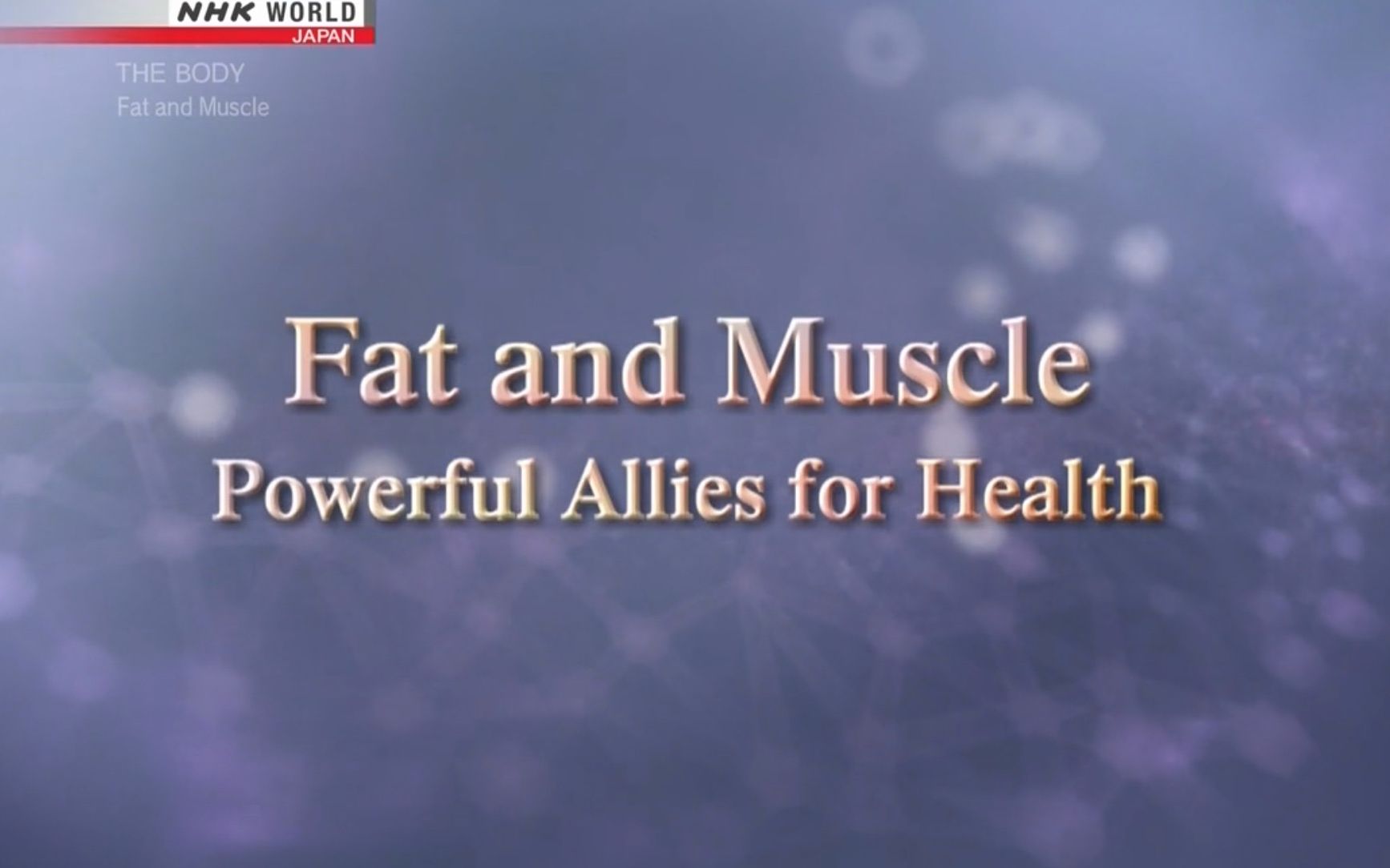 [图]【NHK】人体 第3集 脂肪与肌肉：健康双剑客 The Body EP03 Fat & Muscle Powerful Allies For Health