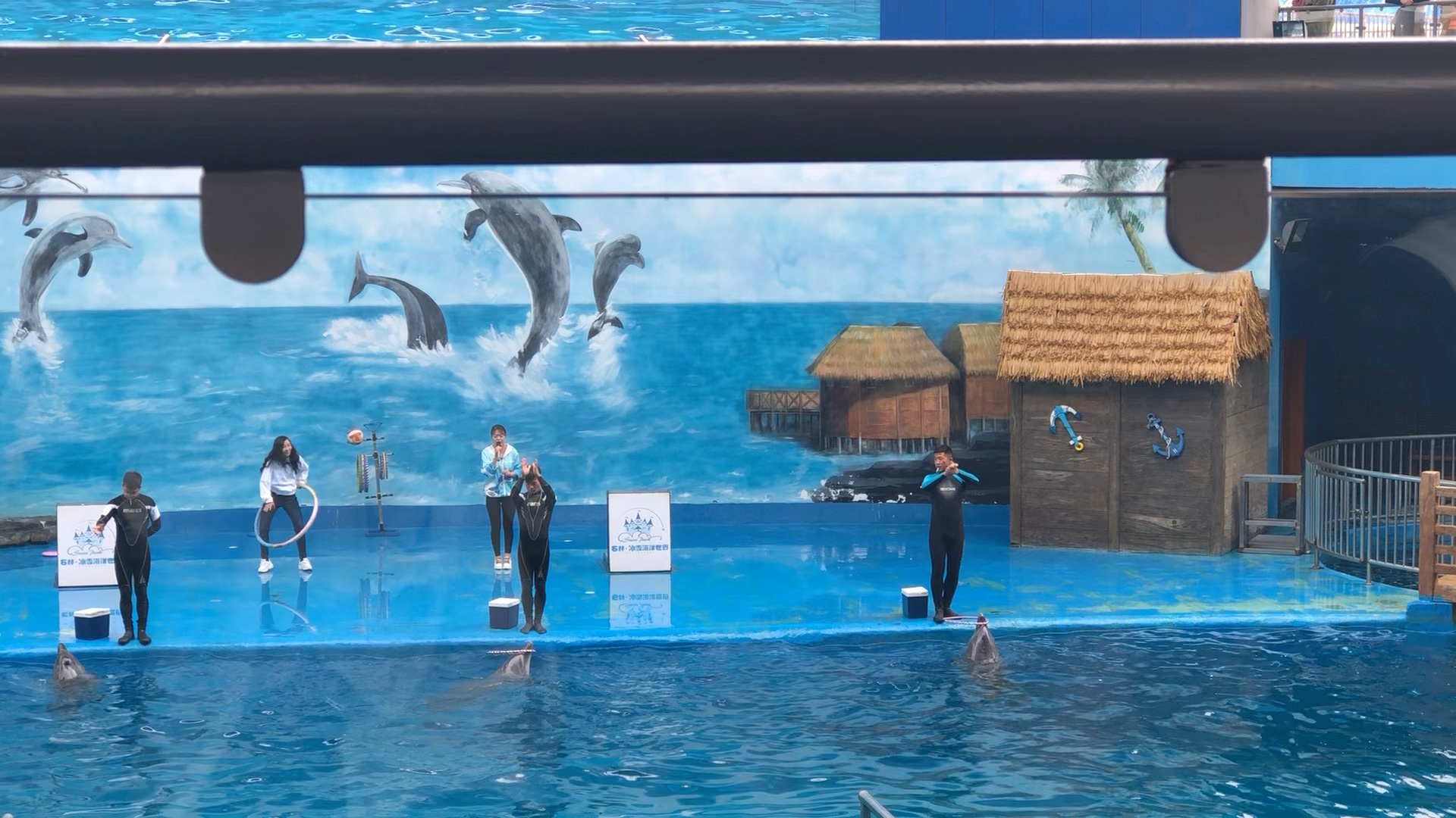 动物狂欢节水族馆图片