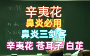 Download Video: 倪海厦 辛夷花 鼻炎必用药 没有拿不下的鼻炎 鼻炎界的刘关张