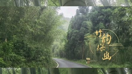 [图]竹韵探幽:虚竹幽兰生静气，烟雨濛濛任舒怀