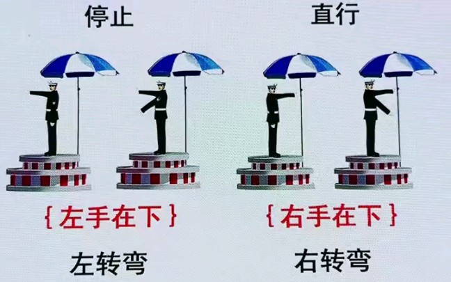 如果快速学会科目一交警手势图哔哩哔哩bilibili