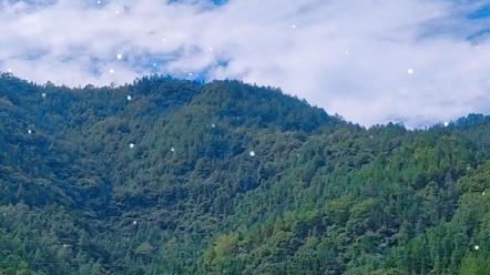 [图]今日天气晴朗，宁静美好