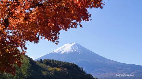 富士山是私人土地 活火山 山顶竟然能举办婚礼 看富士山美景 聊富士山的五个秘密 老罗聊日本 哔哩哔哩