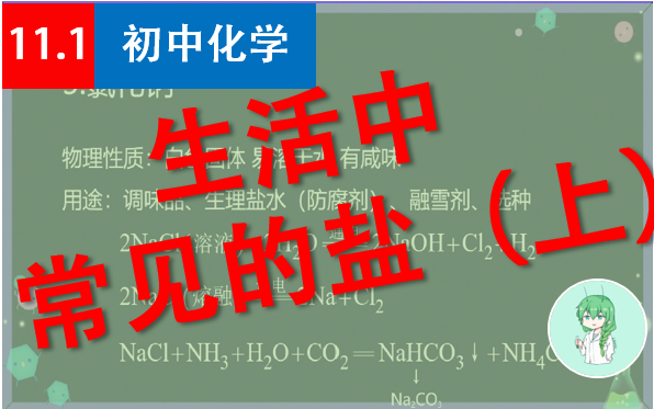 【初中化学】11.1生活中常见的盐(上)&酸碱盐水溶性表哔哩哔哩bilibili