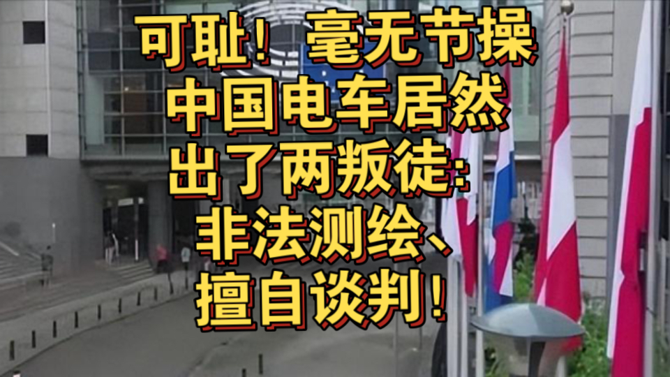 欧盟“糖衣炮弹”和中国电动车企“生死劫”哔哩哔哩bilibili