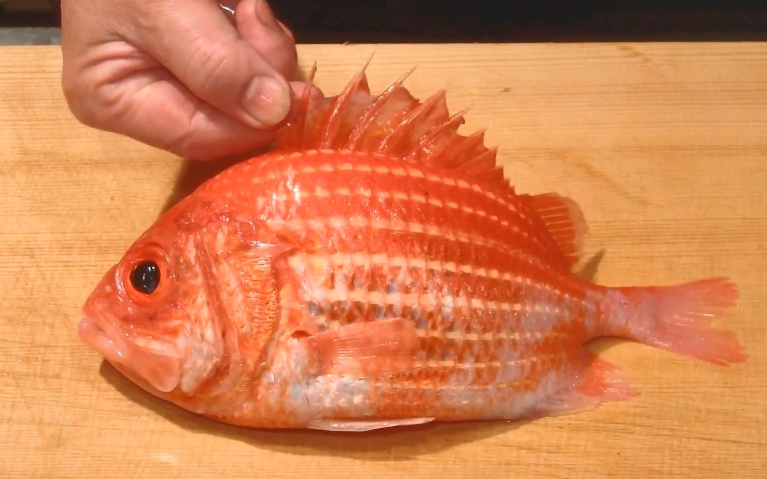 japanesefood红色松球鱼三吃