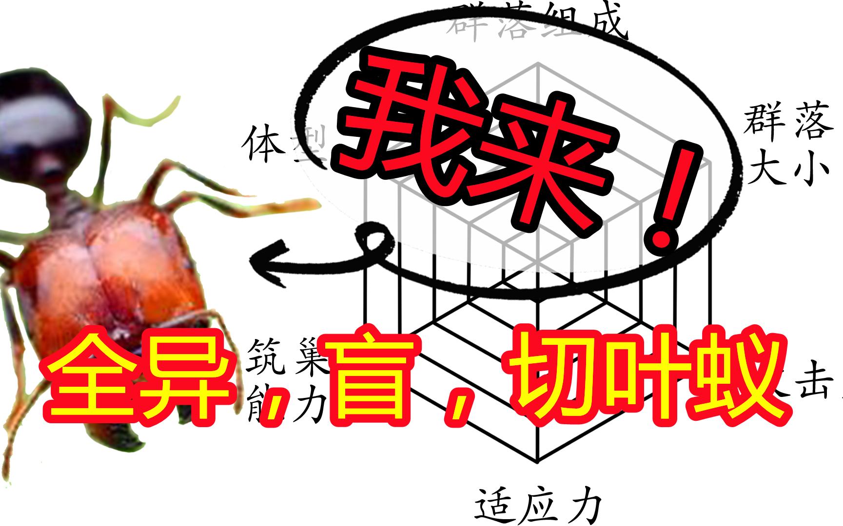 【次元蚁战】06 游牧生活的切叶蚁:全异盲切叶蚁_哔哩哔哩_bilibili