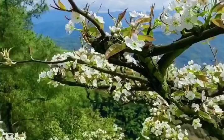 [图]『乡村风光』致敬了不起的她 ，祝女神们节日快乐