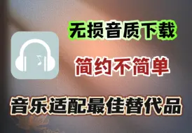 Download Video: 这大概是音乐适配的最佳替代品了，无损音质下载，内嵌歌词！！