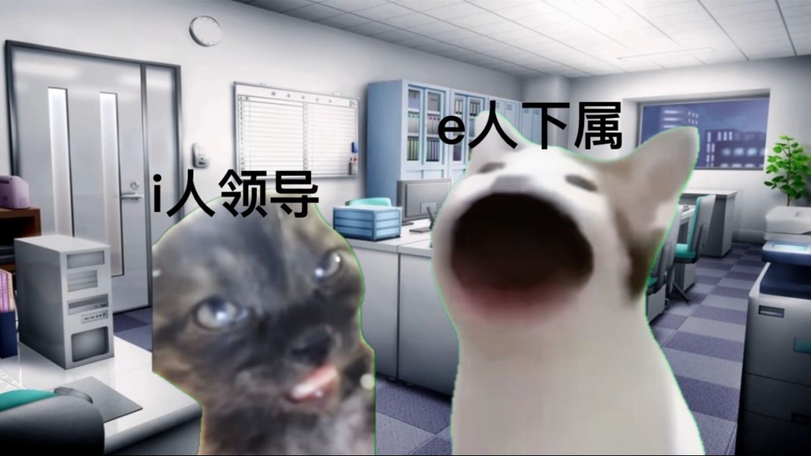 【猫meme】公司新来了个e人下属……哔哩哔哩bilibili