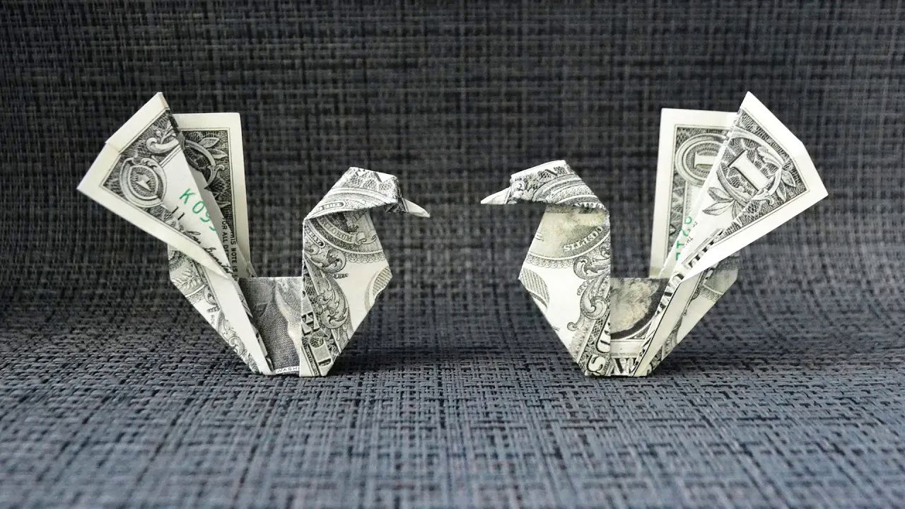 【nprokuda origami】小鸟纸币折纸教程my money hen_chicken