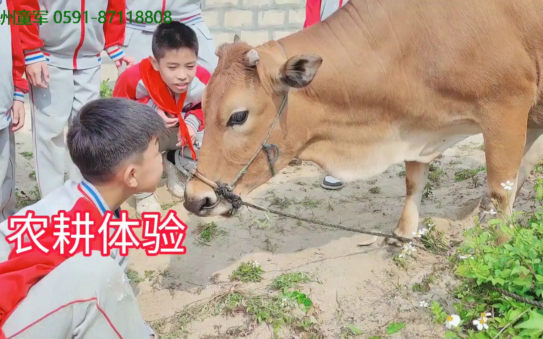 平潭学校小学生春季研学社会实践教育爱国主义军事研学旅行活动哔哩哔哩bilibili