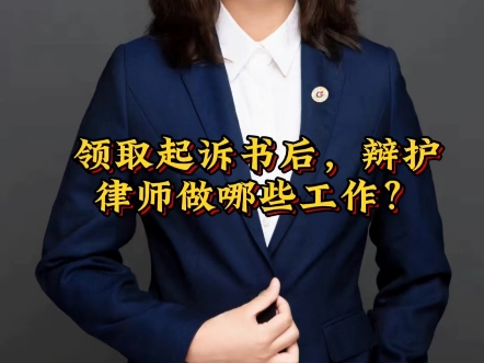 领取起诉书后,辩护律师做哪些工作?哔哩哔哩bilibili