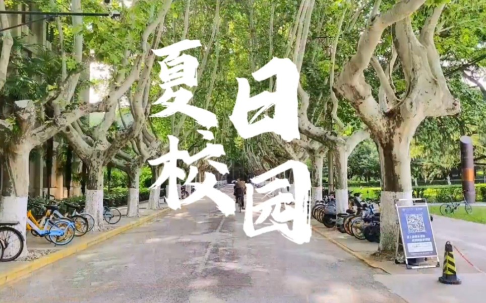 西安交通大学‖夏日校园随拍哔哩哔哩bilibili