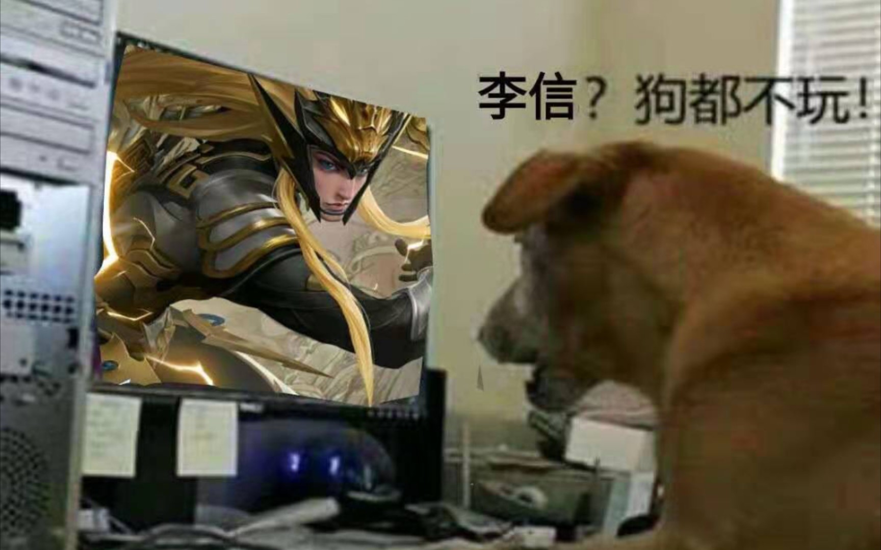 如果你觉得李信伤害高请点进来