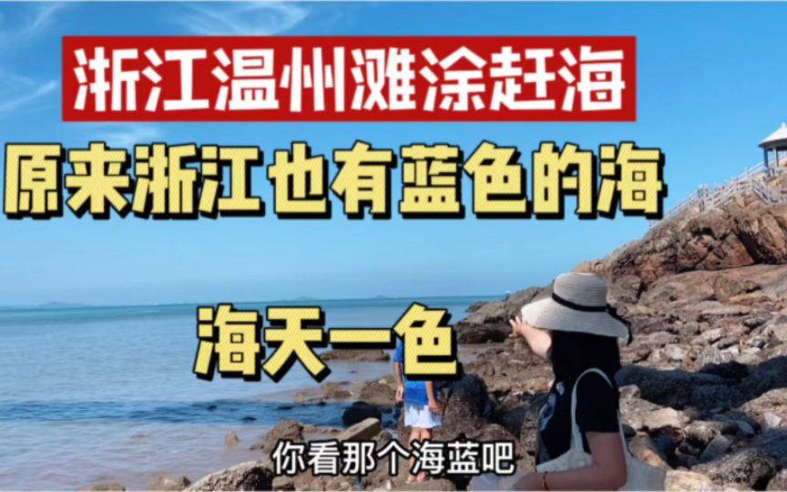 [图]浙江温州小众海岛赶海，礁石上好多贝壳寄居蟹，海天一色景色美