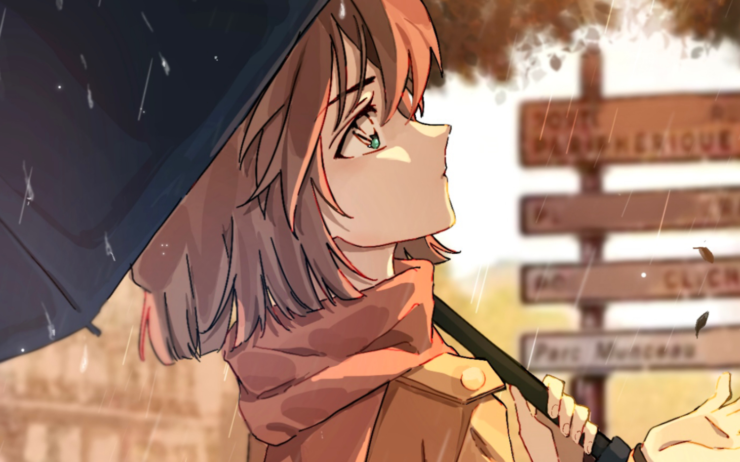 【灰原哀/procreate】paris in the rain