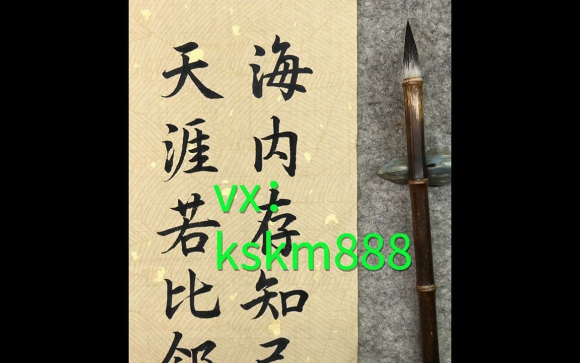 229杨文利《亲子的挑战—高情商养育全攻略》视频课哔哩哔哩bilibili