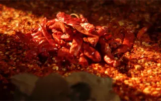 零食电商短视频｜无穷烤鸡爪