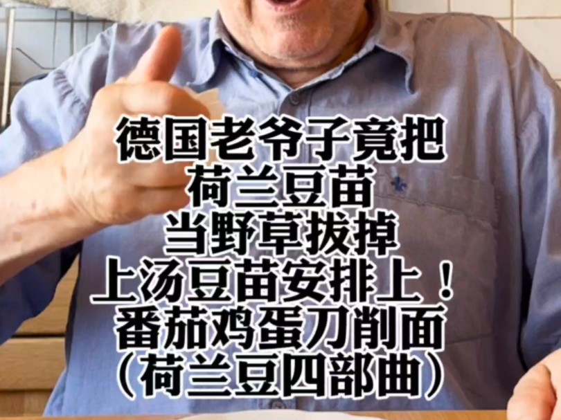 德国老爷子竟然把荷兰豆苗当野草拔了!那就豆面汤做起来!香!还是中餐香啊!哔哩哔哩bilibili