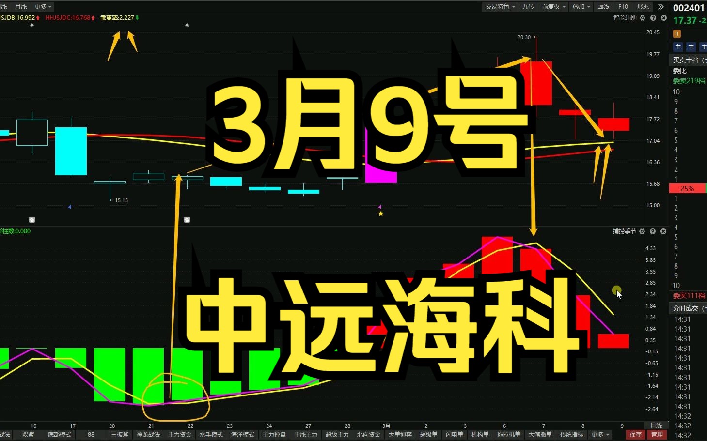 3月9号中远海科:回踩支撑,后市如何?哔哩哔哩bilibili