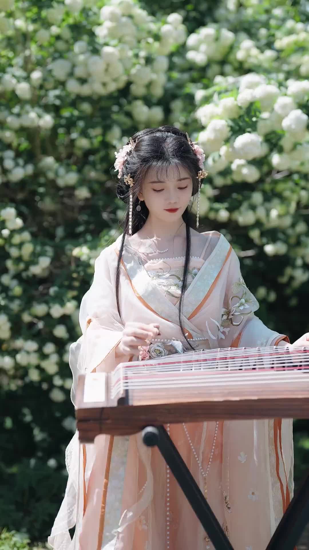 女人如花花似梦你来接下一句6点打人气榜汉服小姐姐女人花古筝