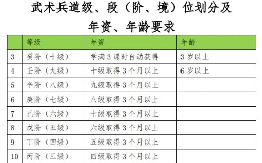 [图]灵气复苏了各位，官方发布武术兵道等级境界