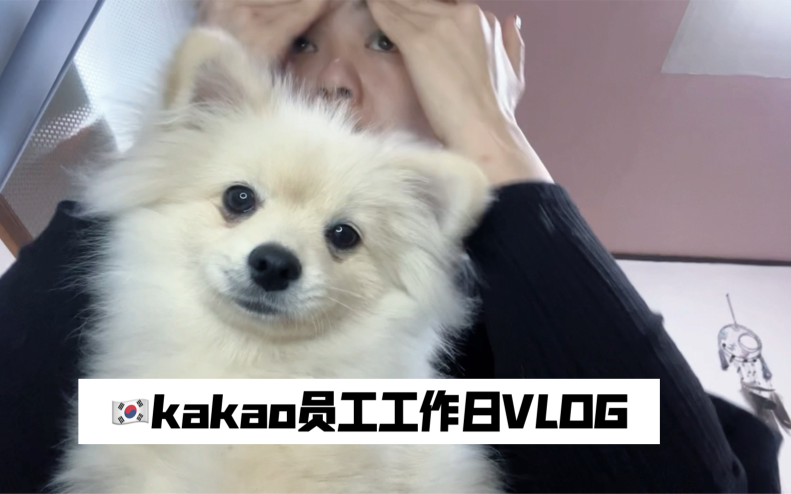 韩国Kakao职场VLOG|一人一狗,自律自由哔哩哔哩bilibili