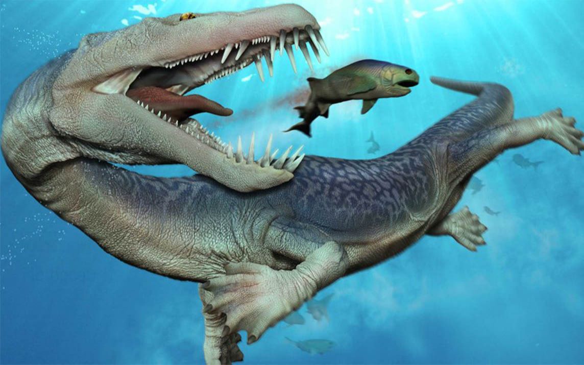 【神奇海怪在哪里】三分钟带你了解中生代海洋中的爬行动物们
