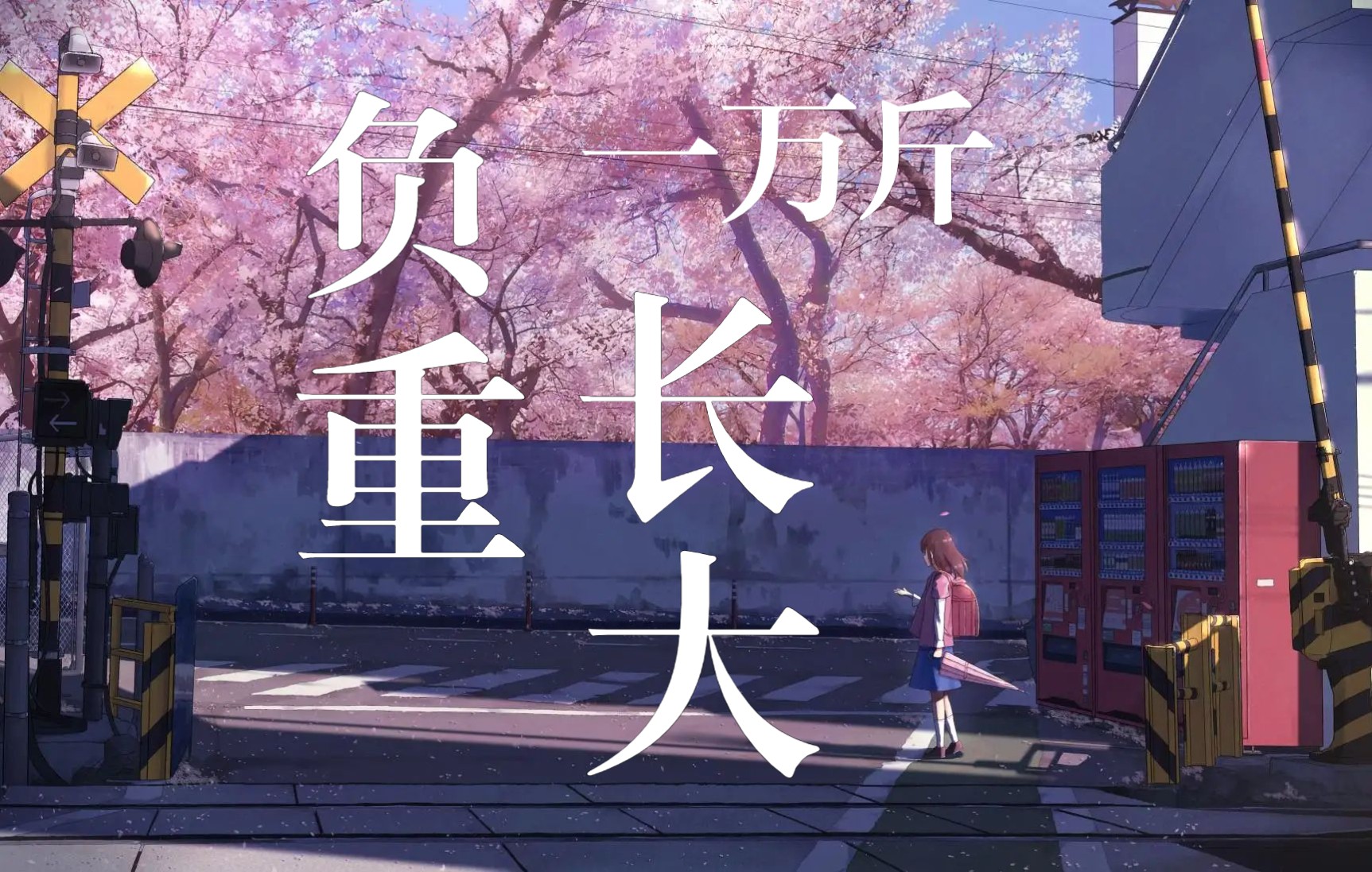 自制mv混剪翻唱【江照黎明·负重一万斤长大】cover 太一