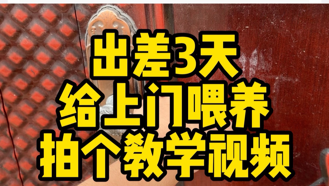 每次出差都很不放心家里的孩子们